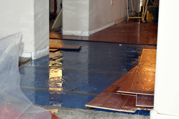 Professional Basement Flood Cleanup technician working in Annapolis, MD